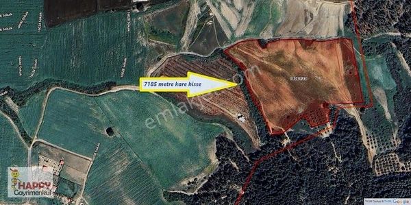 Kat Karşılığı 5 Yada 6 Villa Alırsınız ; Varın Hesabı Siz Yapın