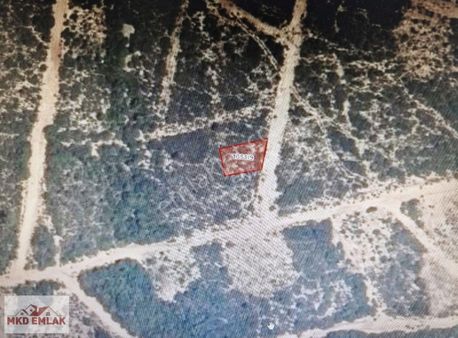 Akyeniköy De Milas Söke Yolu Üzerinde 300 M2 Satılık Arsa