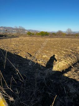 Baron Emlaktan Atça Da Satılık Tarla