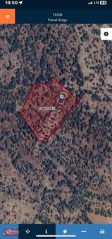 Danış Gayrimenkulden Bekilli Yahyalarda Satılık Tarla