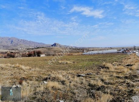 Lg'den Sedeftepe Köyünde Doğukent Yolunda 80 M Cepheli 8.764 M2