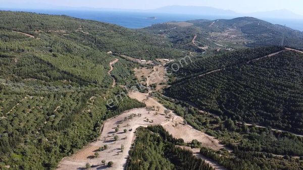 İzmir Seferihisar Atatürk Mahallesinde 228m2 Parseller Doğa İçinde