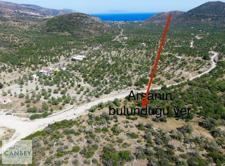 Palamutbükü'nde Denize 2,5 Km Deniz Gören 3.526 M2 Bademlik