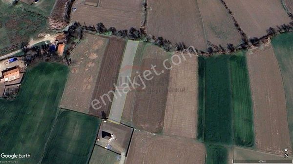 Güvenay - Çorum Celilkırı Akkent Toki Altında Satılık Tek Tapu Tarla