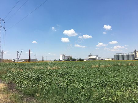 Kırklareli Lüleburgaz Eskibedir Mah.satılık 9900 M2 Tarla