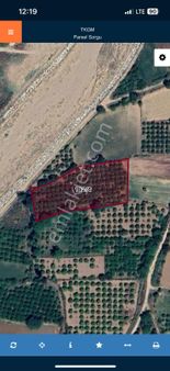 Fırsat Arslanlı Cumhuriyet Mahallesi'nde Satılık Verimli Portakallık