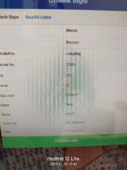 Müstakil Tapu Ardıçlı Da Tarla