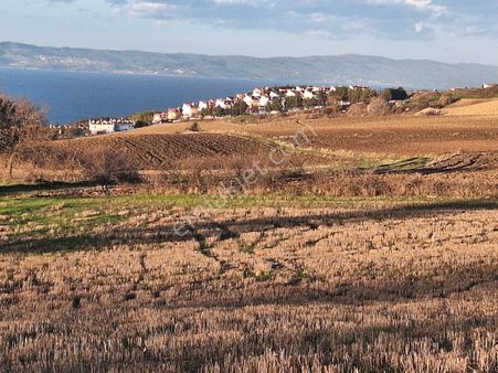 Çanakkale Gelibolu Güneyli'de Deniz Görür Satılık Fırsat Arsa