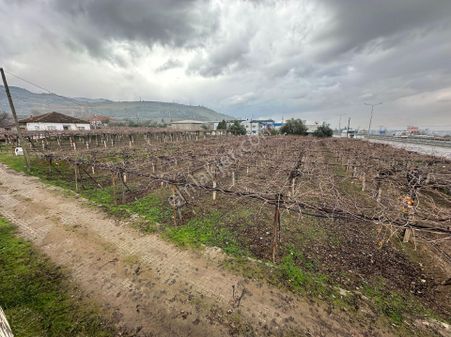 🏠lider Gayrimenkul 'den Badınca Mahallesinde Satılık Ana Yola Cepheli 2.700m2 Bağ 🏠