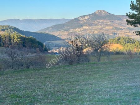 Hakan Gayrimenkul'den Sakarya Geyve Ilıca Mah Doğa Manzaralı Resmi Yol Kenarı Arazi