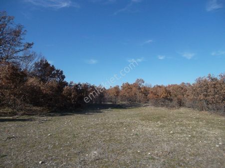 Manisa Köprübaşı İlçesinde Satılık Arazi