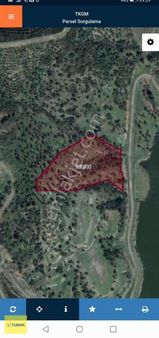 Turpa Balçovadan Seferihisarda Satılık Zeytnlik