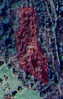 Çanakkale Lapseki Taştepe Mevkiinde ( 3.029 M2) Zeytinlik