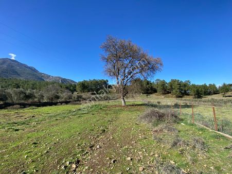 Stop’tan Gökben 3.154 M² Satılık
