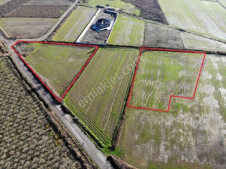 Ortaca Güzelyurt Da Kooperatife Uygun Tarlalar Satılık