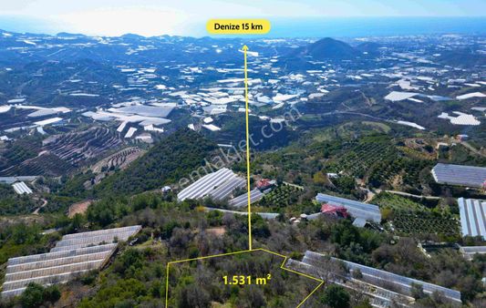 Satılık 1.531 M² Tarla Deniz Manzaralı