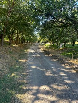 Furkan Doğan’dan Kale Kıyıcak’da Baraja Yakın 11 Dönüm Tarla