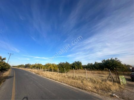 Akçadağ Çatyol’da 72 Dönüm Bahri Ana Yoluna 900 M Cepheli Sulu Tarla