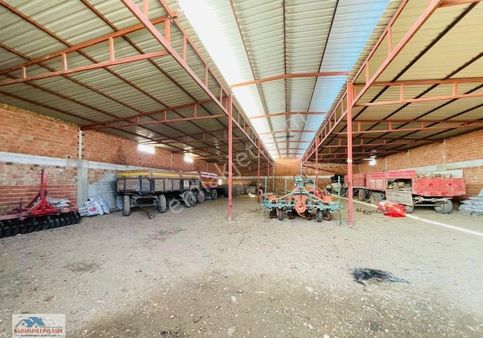 Manisa Şehsadeler Harmandalı Küme Evlerinde Satılık 10 Dönüm Bağ Ve 600m2 Büyük Baş Hayvan Çiftliği