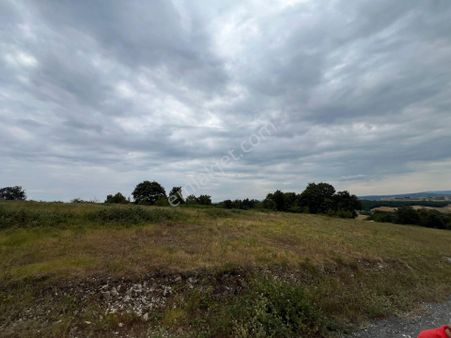 Derince Tahtalı'da 250m Yola Cepheli Fırsat Yer