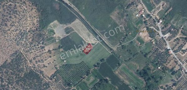 Muğla Milas Pınarcık'ta 612 M2 Tarla