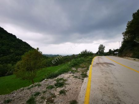 Kocaeli Avcıköy'de 3 Dönüm İmara Yakın Yola Cepheli Satılık Arsa