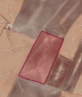 Sezenleremlaktan Sarayönü Karabıyık Mahallesi'nde Satılık Tarla