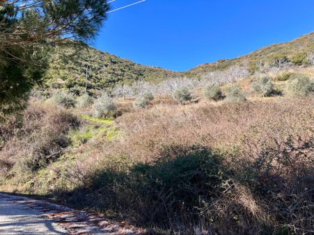 Şahin Gayrimenkul Den Osmancık Köyünde Yatırımlık Satılık İncir Bahçesi