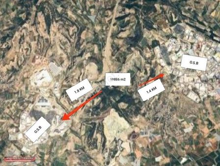 Mesut Emlak'tan Sarıibrahimli'de Satılık Mandalina Bahçesi