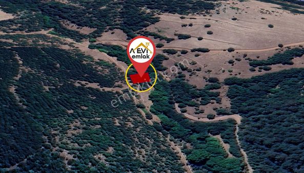 Balıkesir Sındırgı Şahinkaya Satılık 558m2 Tarla