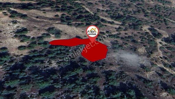 Bilecik İnhisar Harmanköy Satılık 2000m2 Bahçe