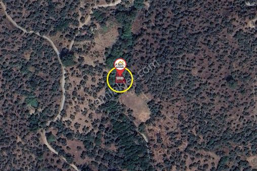 Muğla-milas-etrenli-satılık-108m2 Zeytinlik