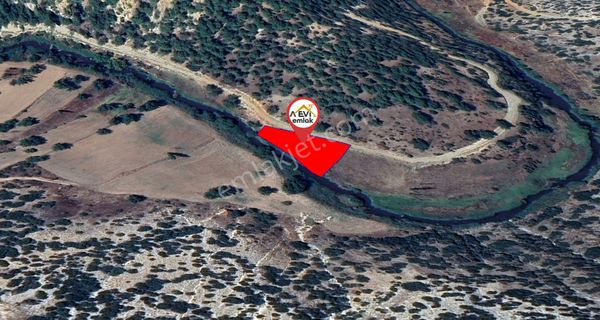 Uşak Ulubey Büyükkayalı 162-387 Satılık 1666m2 Tarla