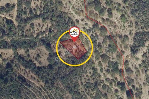 Manisa Demirci Çanakçı Satılık Bağ 1200m2