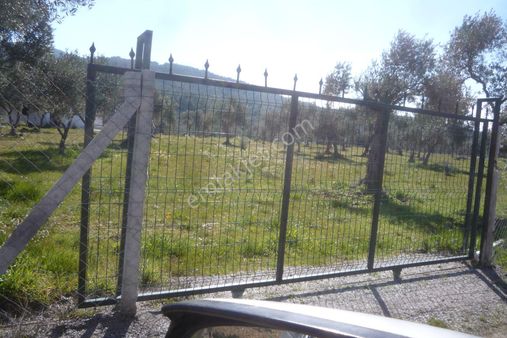 İzmir Torbalı Gold Emlaktan Satılık Tarla Dam