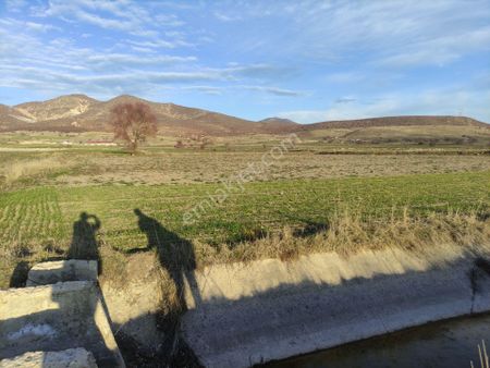 Konya Seydişehir Boyalı Mah.satılık Tarla Pınar Ve Kanal Dibi 4050 M2 İki Parça