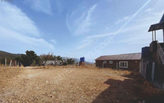 Satılık Ulucak Damlacıkta Bahçe