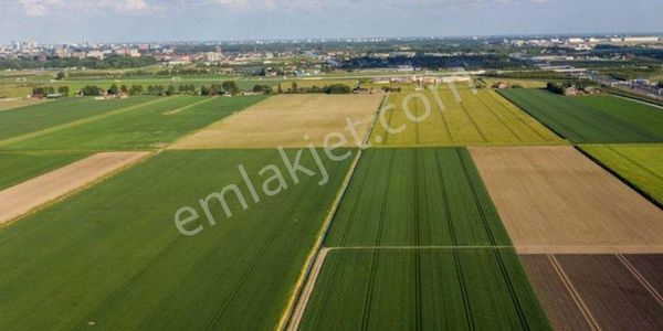 Büyükköy'de Bozoavaya 800 M 4500 M2 Tarla