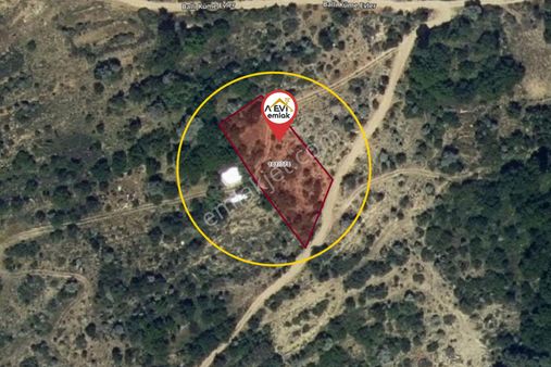 Mersin Mut Ballı Satılık 1375m2 Meyve Bahçesi