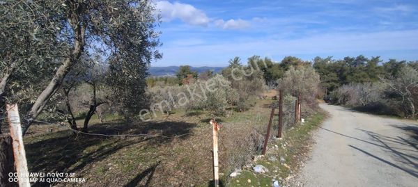 Selda Kozalı'dan Denizovaköyiçi İmarlı Satılık Tarla