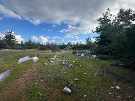 Bodrum Mazı Köyünde Yolu Olan Satılık Tarla