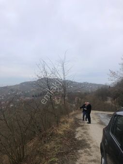 Trabzon Mağmat Geçit Mahallesi Satılık 1.320 M2 Arazi