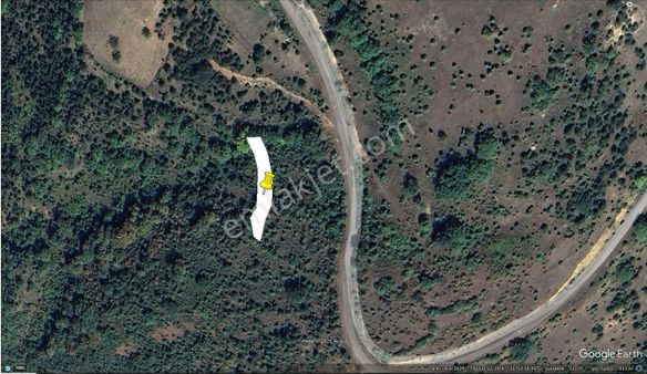 Zonguldak Devrekde Acil Satılık Tek Tapu Arazi Yatırıma Uygun