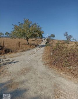 Karpuzlu/abak Mahallesi/ Satılık Tarla