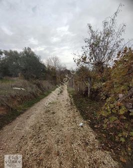Sultanhisar Salavatlı Satılık Bahçeli Müstakil Köyevi
