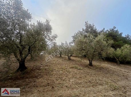 Mudanya Çağrışan Satılık Villa İmarlı Arsa