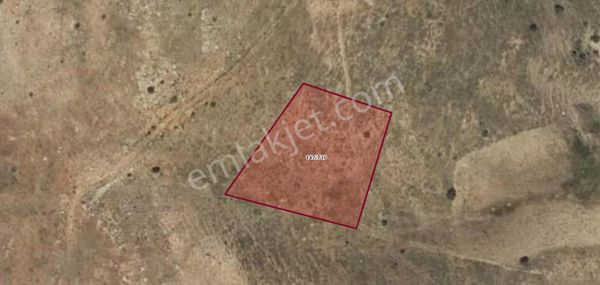 Korkuteli Kırkpınar'da 3 Dönüm Müstakil Yatırımlık