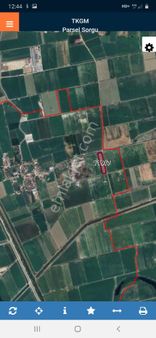 Germencik Uzunkum Mahalesinde Çok Verimli Satılık Pamuk Tarlası