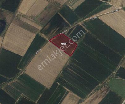 Kırklareli Merkez Kavaklı Satılık Kanal Boyu 7.150 M2 Tarla