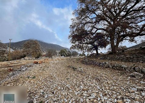 Venüs Emlak Demre Den Belören (muskar) Satılık Tarla